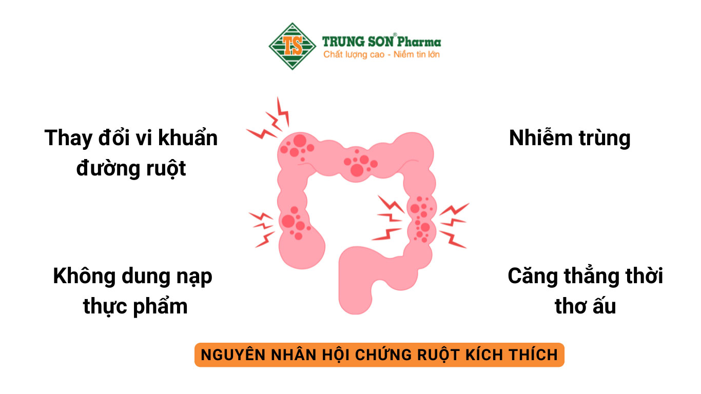 Nguyên nhân gây ra hội chứng ruột kích thích (IBS) 