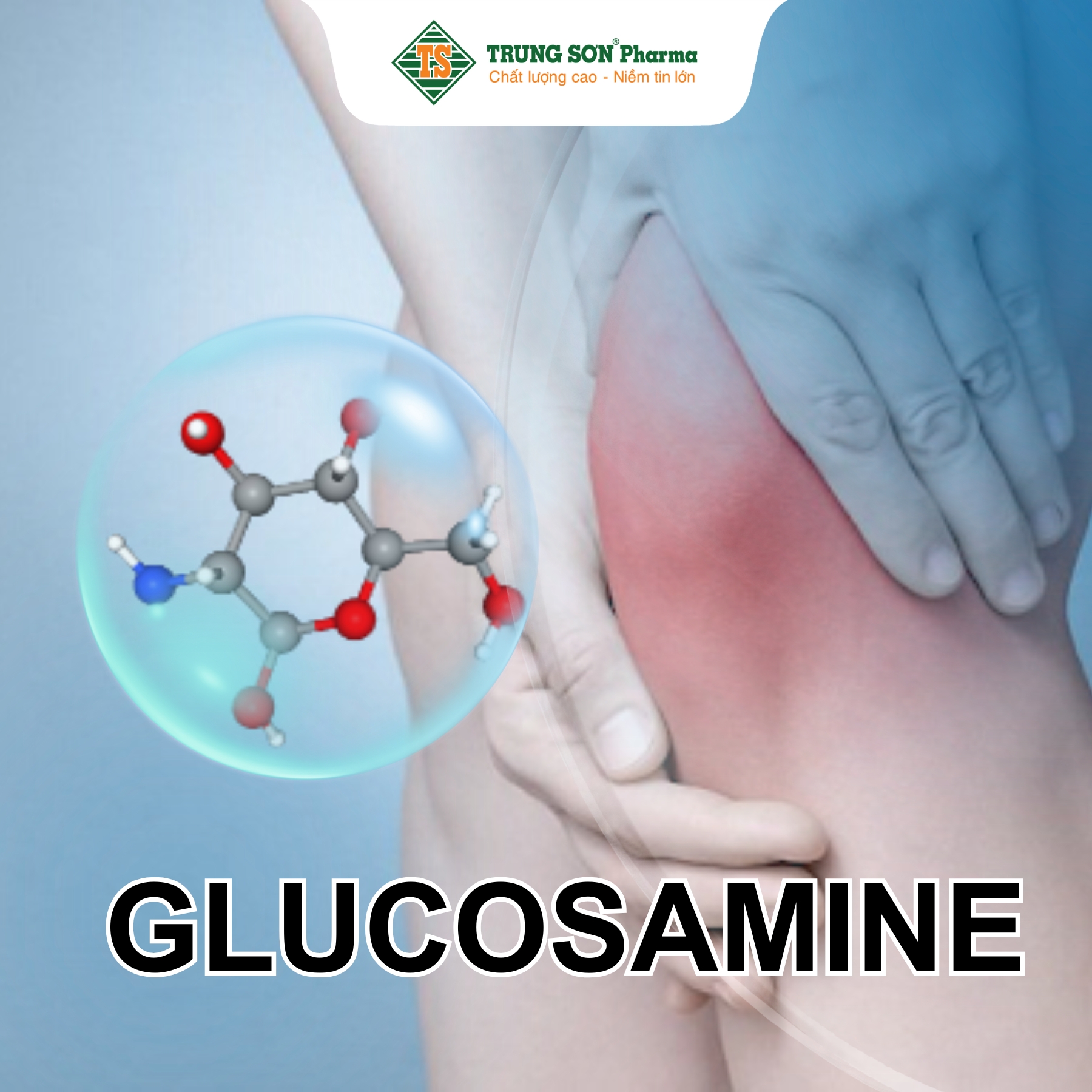 Glucosamine là một hợp chất tự nhiên có trong sụn - mô cứng giúp đệm khớp