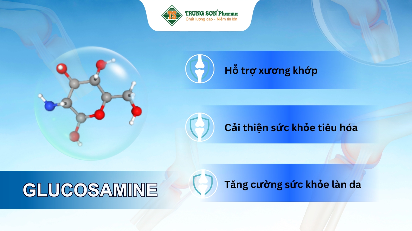 Glucosamine mang lại nhiều lợi ích cho sức khoẻ