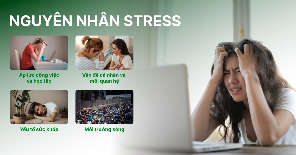 Stress có thể bắt nguồn từ nhiều yếu tố khác nhau
