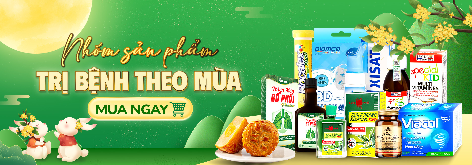 Sản phẩm hỗ trợ điều trị bệnh theo mùa