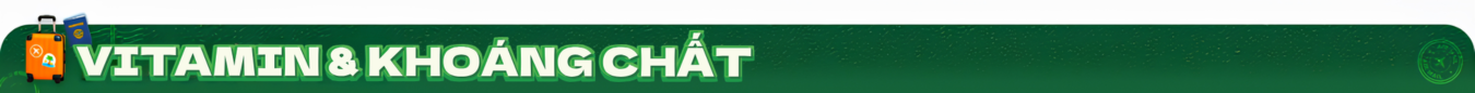 BANNER_DANHMUC_1200x125-5