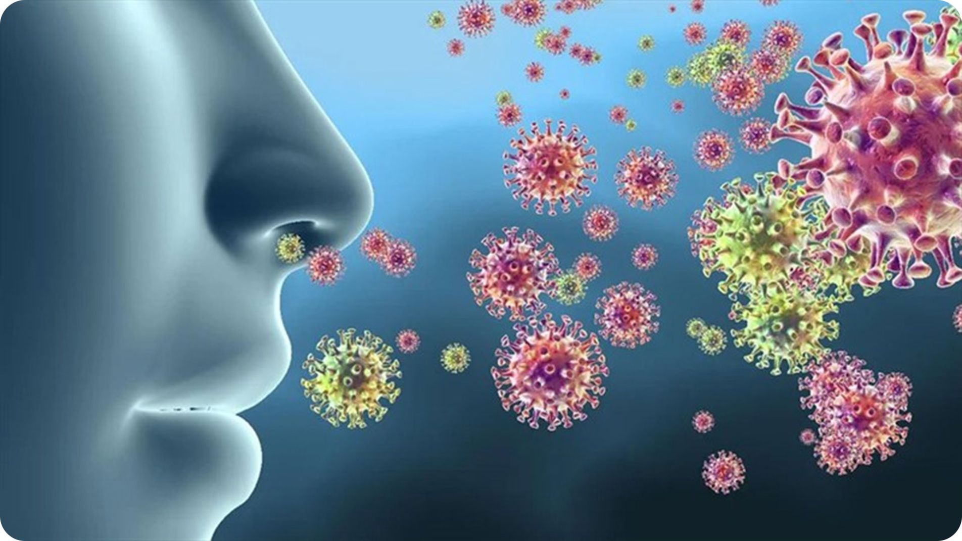 Nguyên nhân gây bệnh ho chủ yếu là do nhiễm trùng hoặc các yếu tố kích thích đường hô hấp