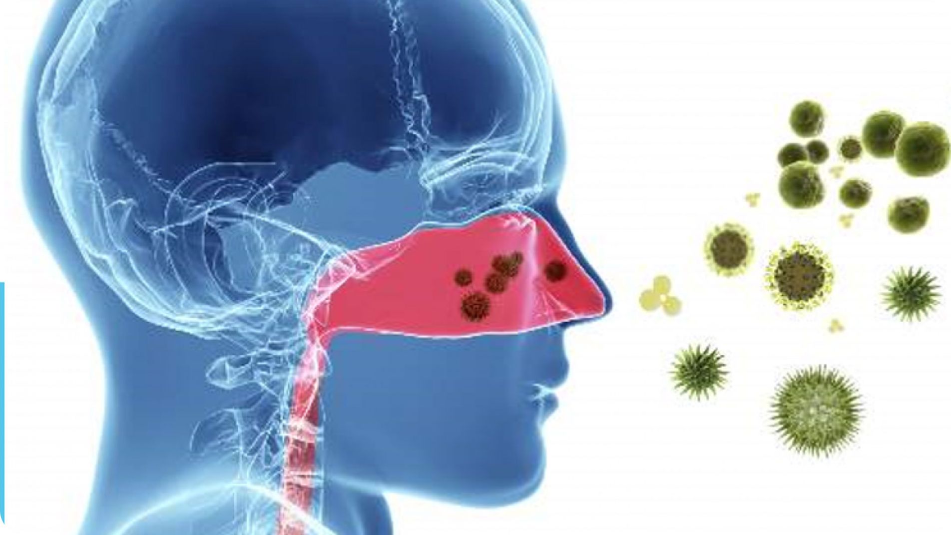 Nguyên nhân phổ biến gây nghẹt mũi: dị ứng và nhiễm virus