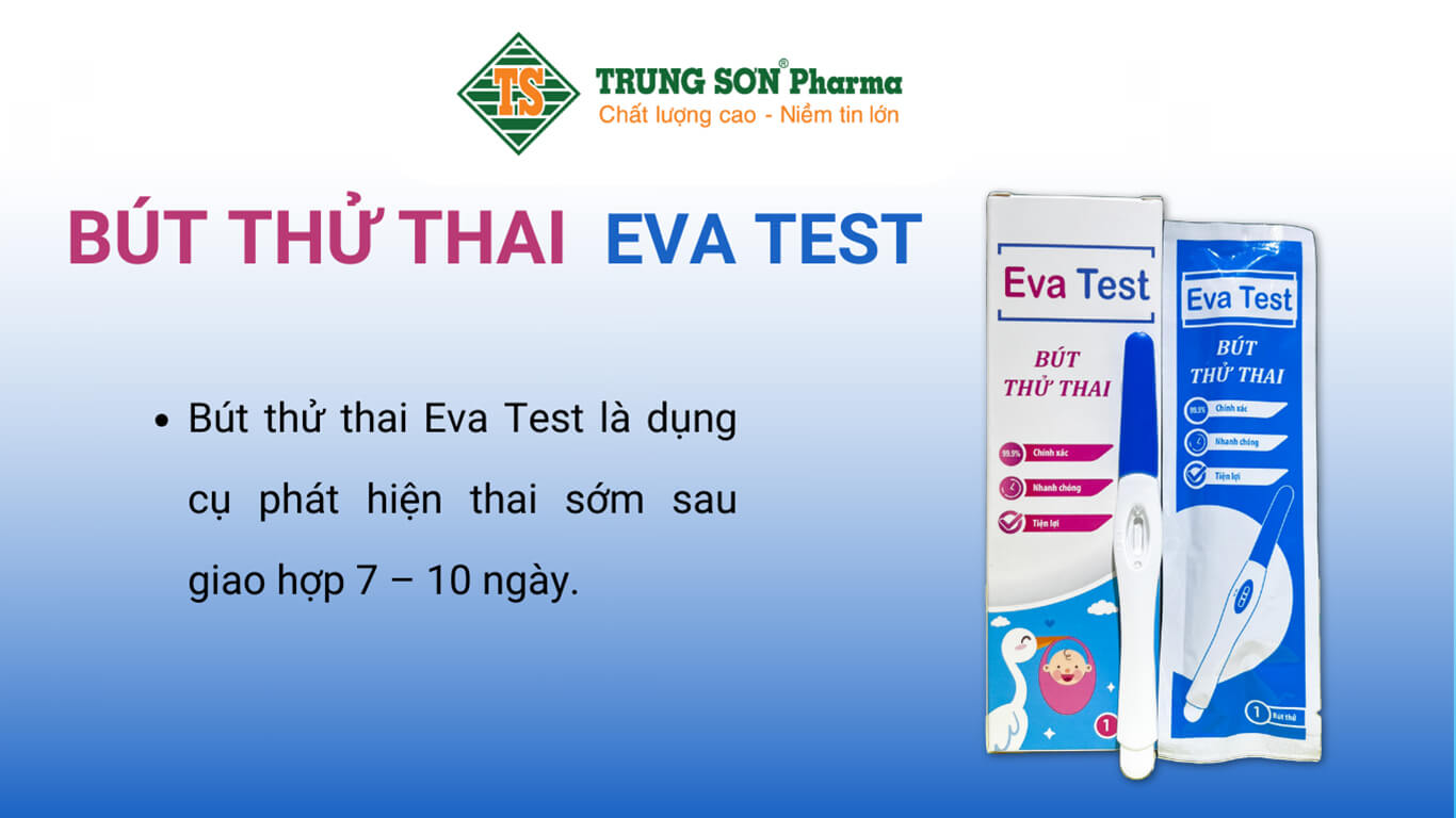 but-thu-thai-eva-test (1)