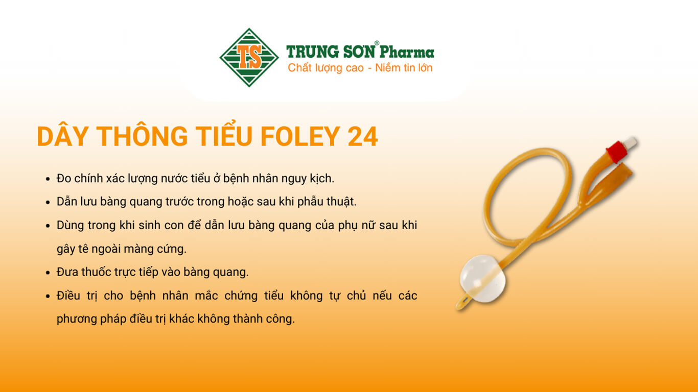 dây thông tiểu Foley 24