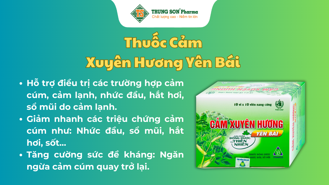 thuoc-cam-xuyen-huong-yen-bai-dieu-tri-cam-cum-cam-lanh-10-vi-x-10-vien