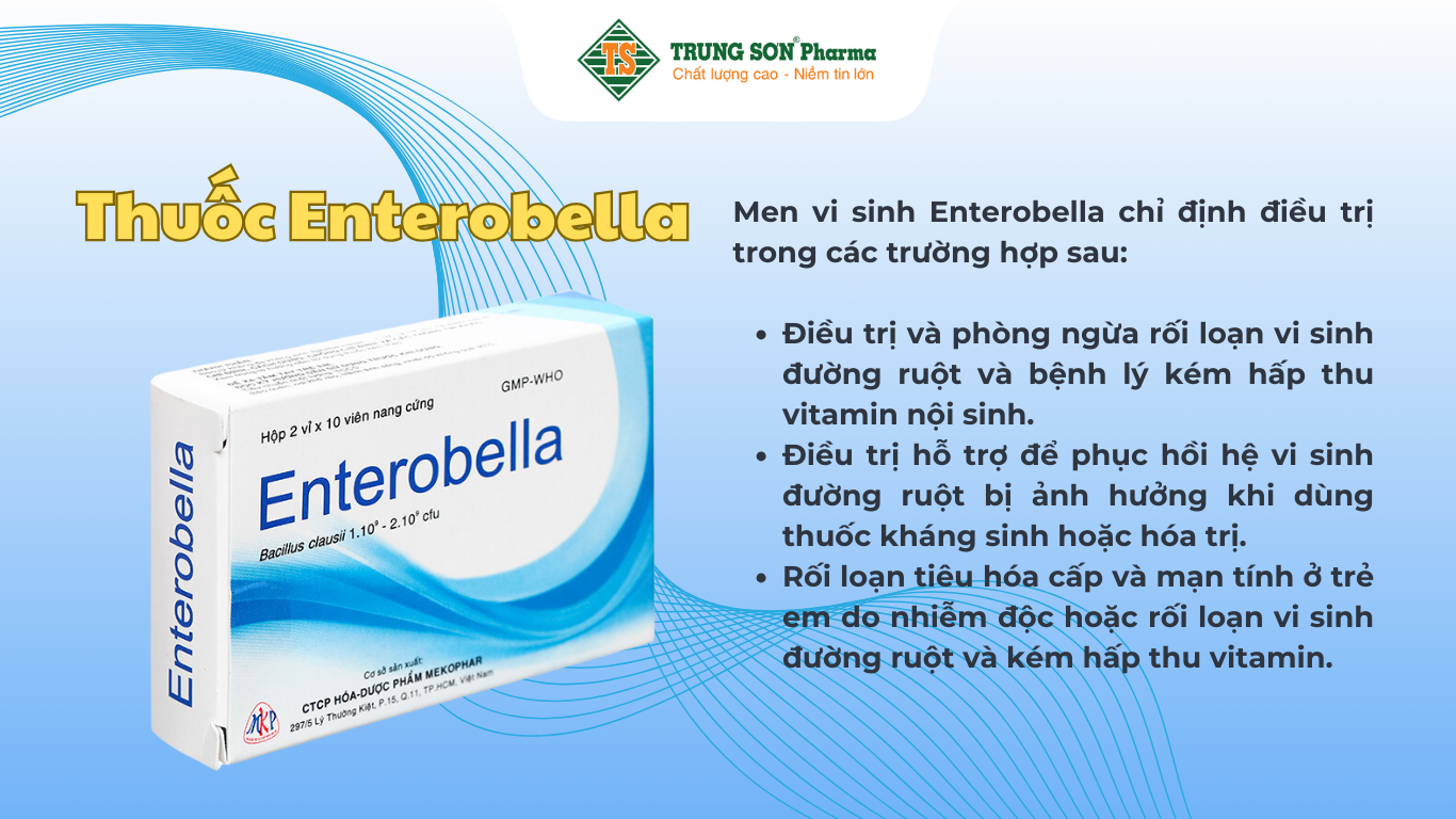 thuoc-enterobella-ho-tro-dieu-tri-va-phong-ngua-roi-loan-vi-sinh-duong-ruot-hop-20-vien (1)