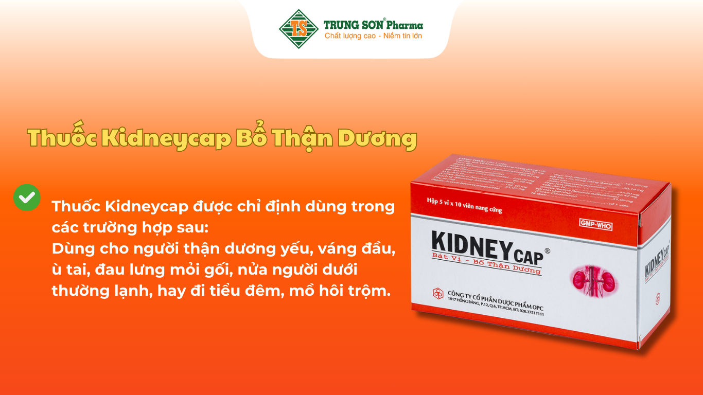 thuoc-kidneycap-bo-than-duong-dung-cho-nguoi-vang-au-u-tai-hop-5-vi-x-10-vien