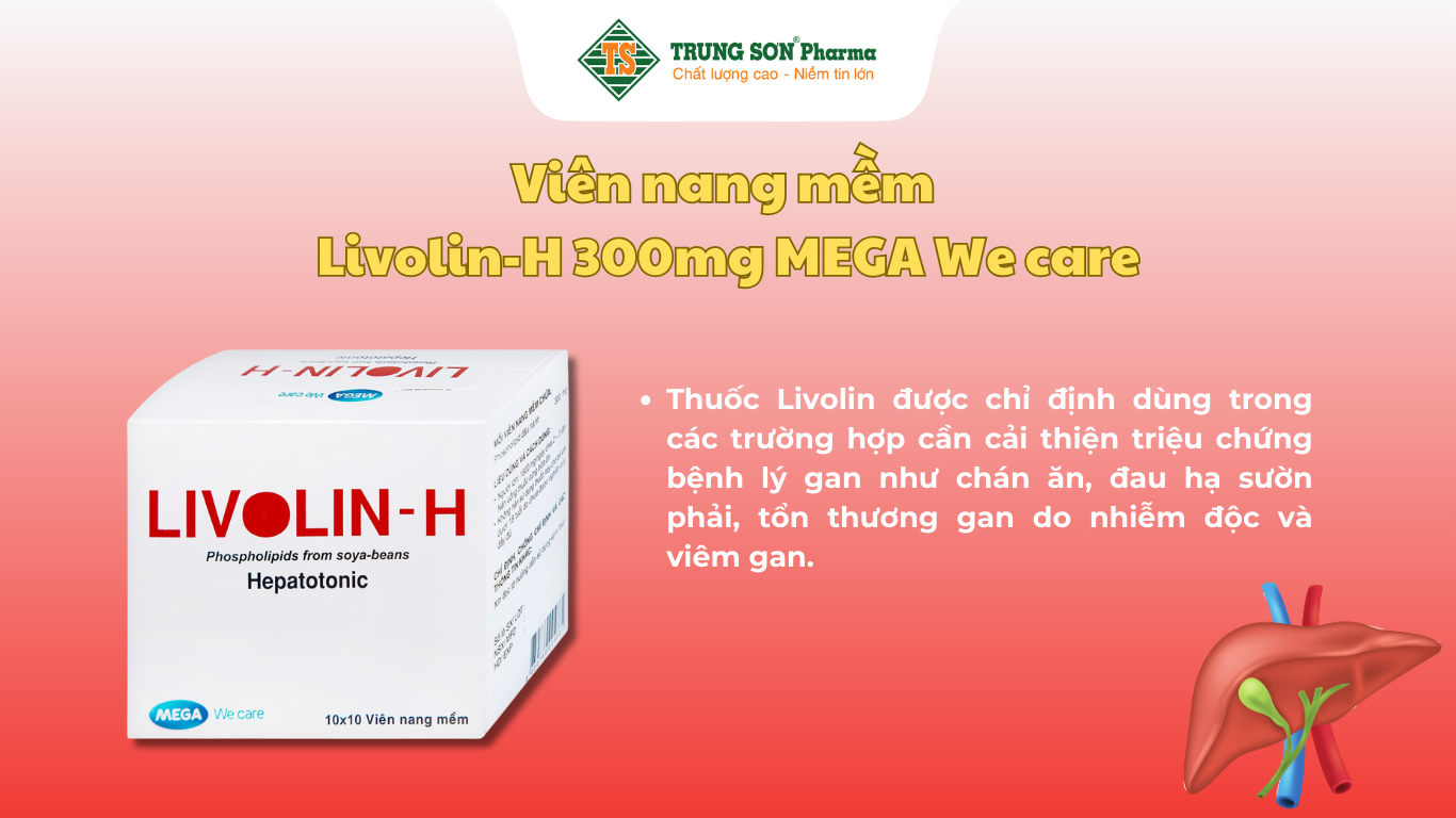 vien-nang-mem-livolin-h-300mg-mega-we-care-cai-thien-benh-gan-chan-an-dau-ha-suon-phai-10-vi-x-10-vien