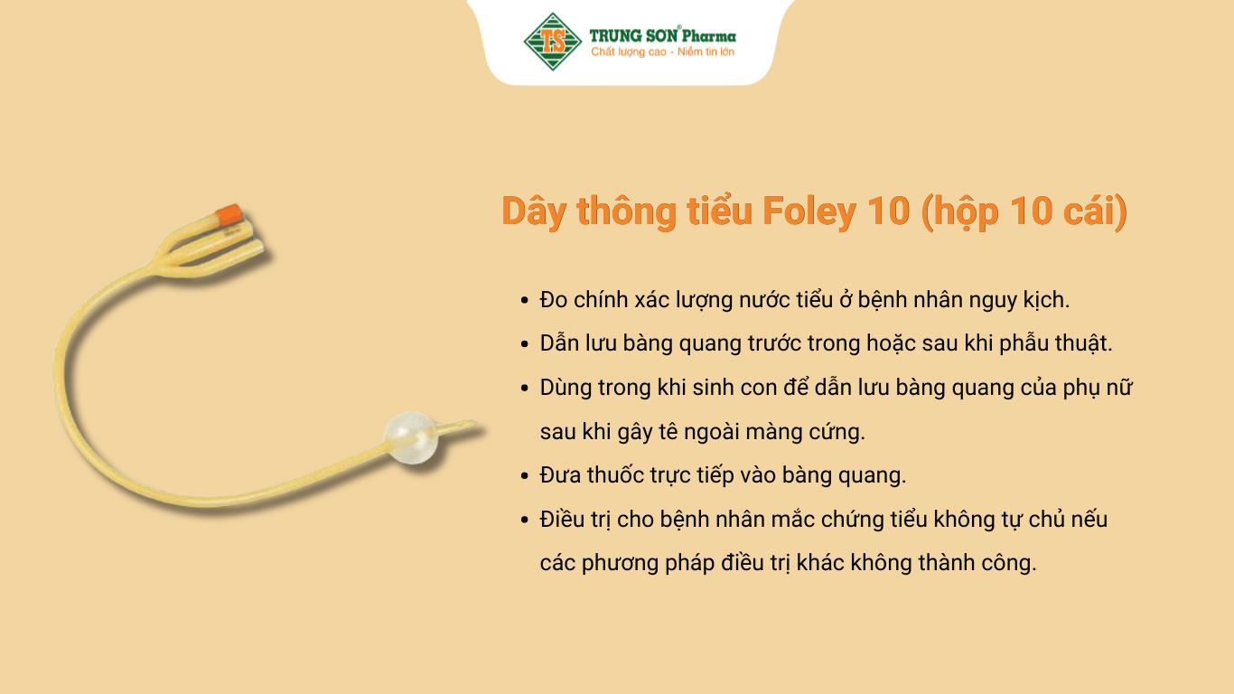 Dây thông tiểu Foley 10