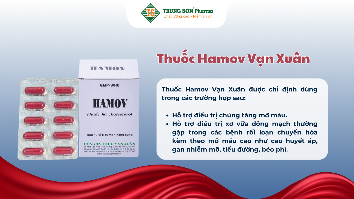 thuoc-hamov-van-xuan-ho-tro-dieu-tri-chung-tang-mo-mau-10-vi-x-10-vien