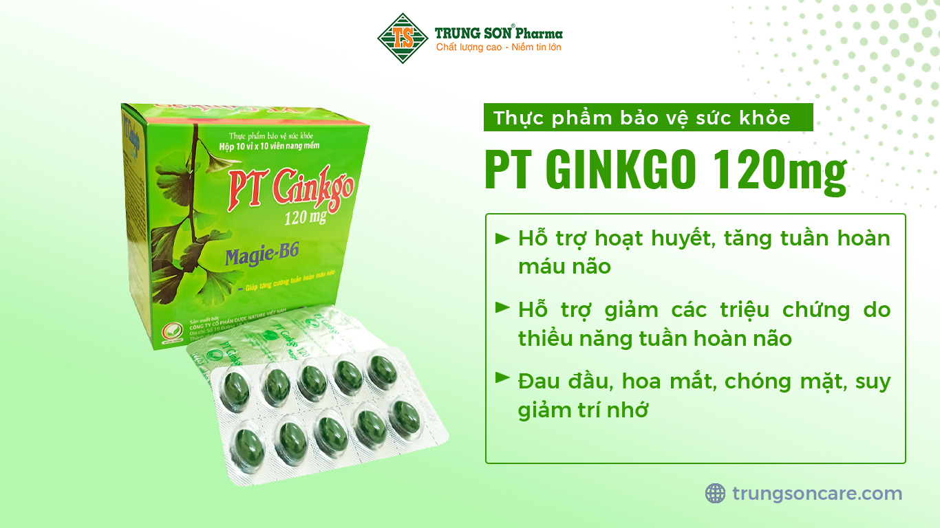 Thực phẩm bảo vệ sức khỏe PT GINKGO 120MG hỗ trợ hoạt huyết, tăng tuần hoàn máu não, hỗ trợ giảm các triệu chứng do thiểu năng tuần hoàn não. Đau đầu, hoa mắt, chóng mặt, suy giảm trí nhớ