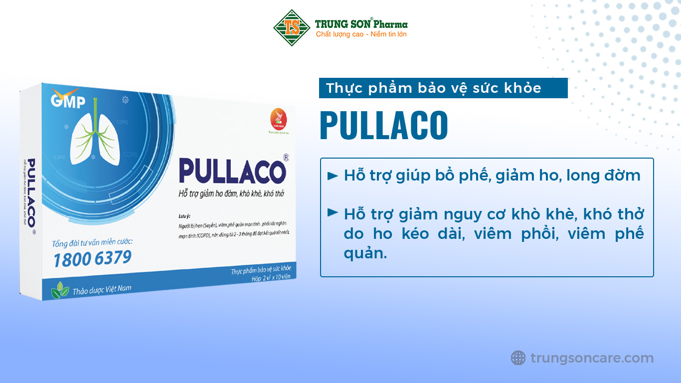 Thực phẩm bảo vệ sức khỏe PULLACO hỗ trợ giúp bổ phế, giảm ho, long đờm, hỗ trợ giảm nguy cơ khò khè, khó thở do ho kéo dài, viêm phổi, viêm phế quản.