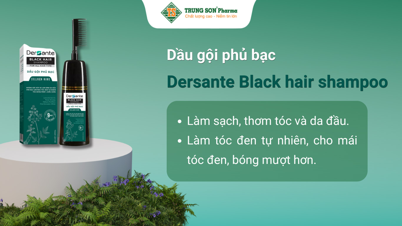 Dầu gội phủ bạc Dersante Black hair shampoo