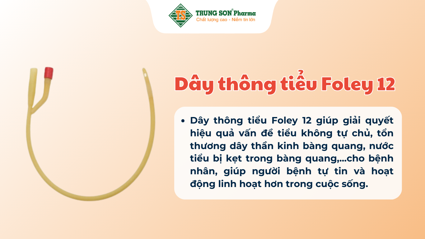 day-thong-tieu-foley-12-hop-10-cai