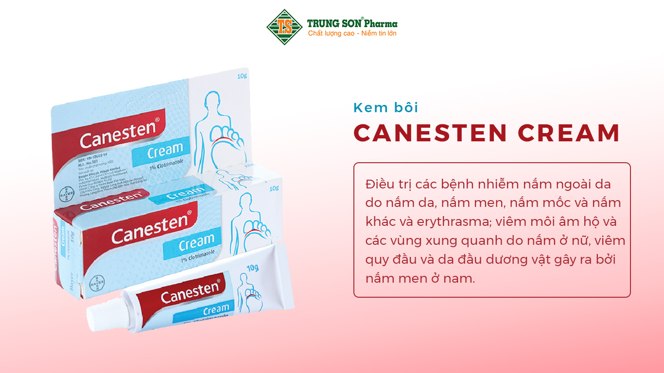 Thuốc Canesten Cream điều trị các bệnh nhiễm nấm ngoài da do nấm da, nấm men, nấm mốc và nấm khác và erythrasma; viêm môi âm hộ và các vùng xung quanh do nấm ở nữ, viêm quy đầu và da đầu dương vật gây ra bởi nấm men ở nam.