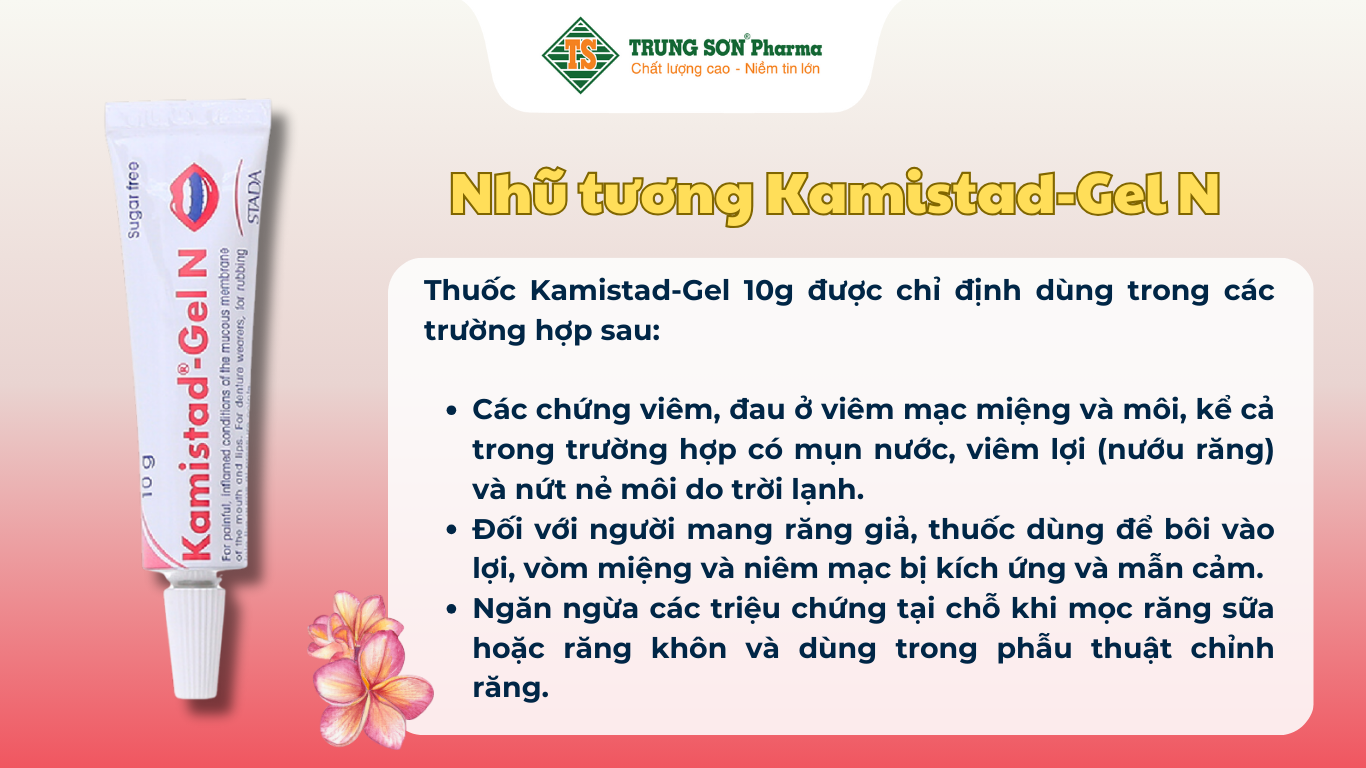 nhu-tuong-kamistad-gel-n-ho-tro-dieu-tri-viem-dau-o-niem-mac-mieng-va-moi-tuyp-10g