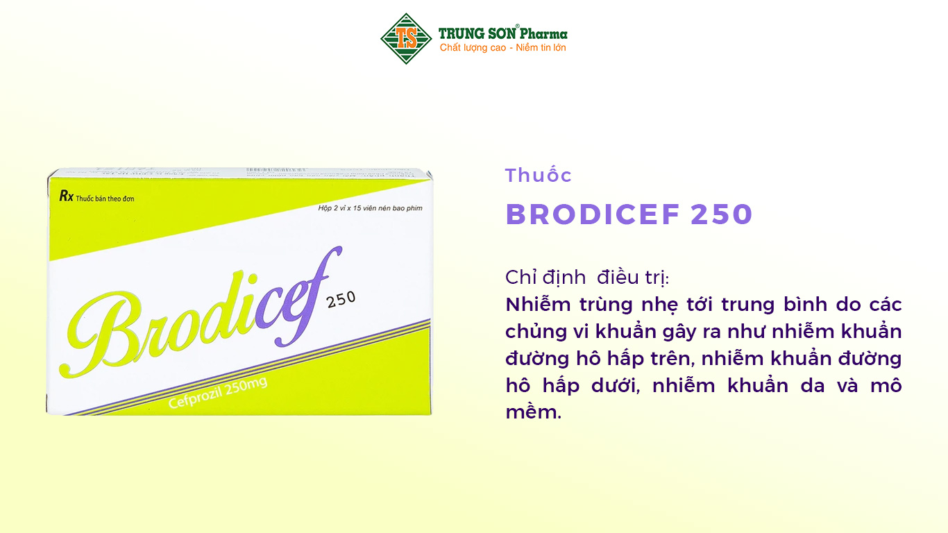 Thuốc “Brodicef 250 mg Hà Tây” được chỉ định trong điều trị nhiễm trùng nhẹ tới trung bình do các chủng vi khuẩn gây ra như nhiễm khuẩn đường hô hấp trên, nhiễm khuẩn đường hô hấp dưới, nhiễm khuẩn da và mô mềm.