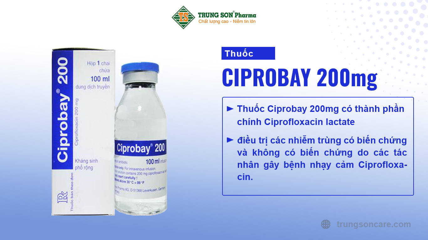 Thuốc Ciprobay 200mg có thành phần chính Ciprofloxacin lactate có tác dụng điều trị các nhiễm trùng có biến chứng và không có biến chứng do các tác nhân gây bệnh nhạy cảm Ciprofloxacin