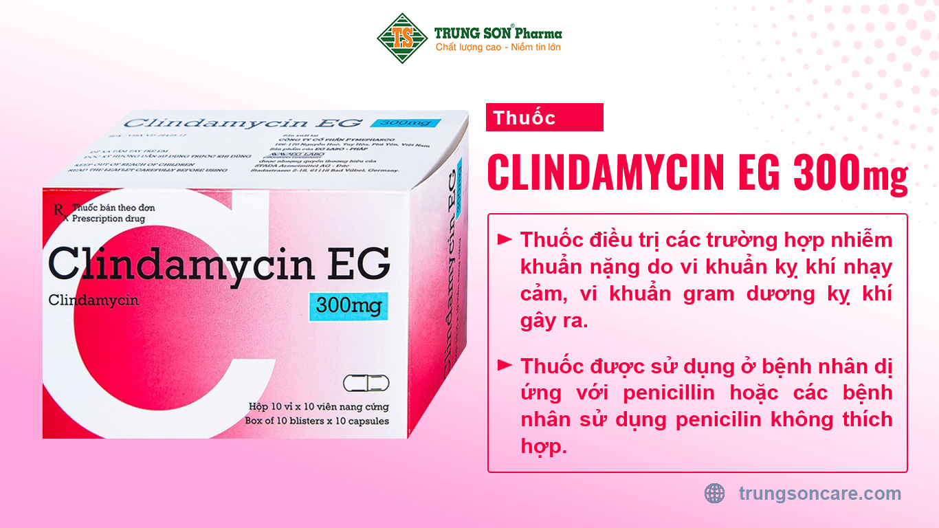 Thuốc Clindamycin EG được sản xuất bởi công ty cổ phần Pymepharco Việt Nam. Thuốc điều trị các trường hợp nhiễm khuẩn nặng do vi khuẩn kỵ khí nhạy cảm, vi khuẩn gram dương kỵ khí gây ra. Thuốc được sử dụng ở bệnh nhân dị ứng với penicillin hoặc các bệnh nhân sử dụng penicilin không thích hợp.