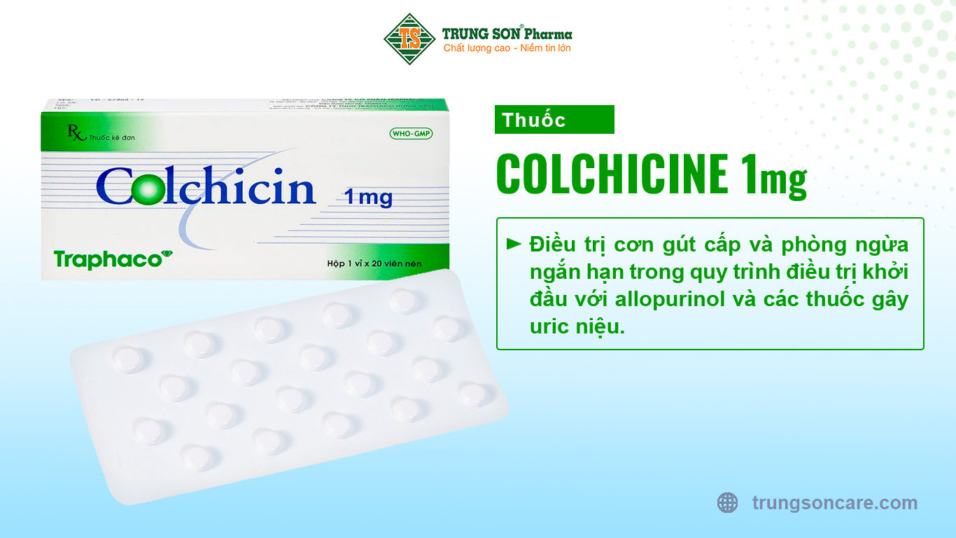 Colchicine Stella 1 mg điều trị cơn gút cấp