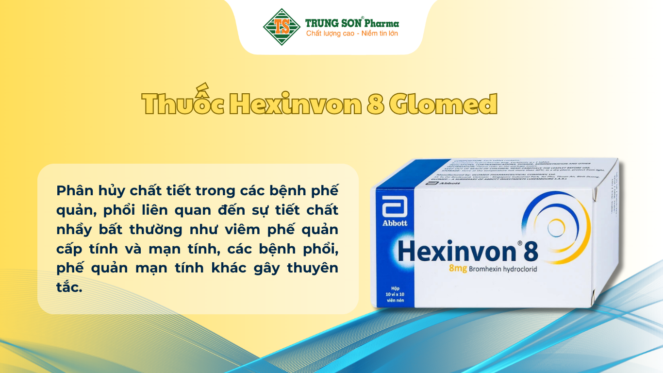 thuoc-hexinvon-8-glomed-dieu-tri-tiet-chat-nhay-bat-thuong-trong-viem-phe-quan-cap-tinh-va-man-tinh-10-vi-x-10-vien