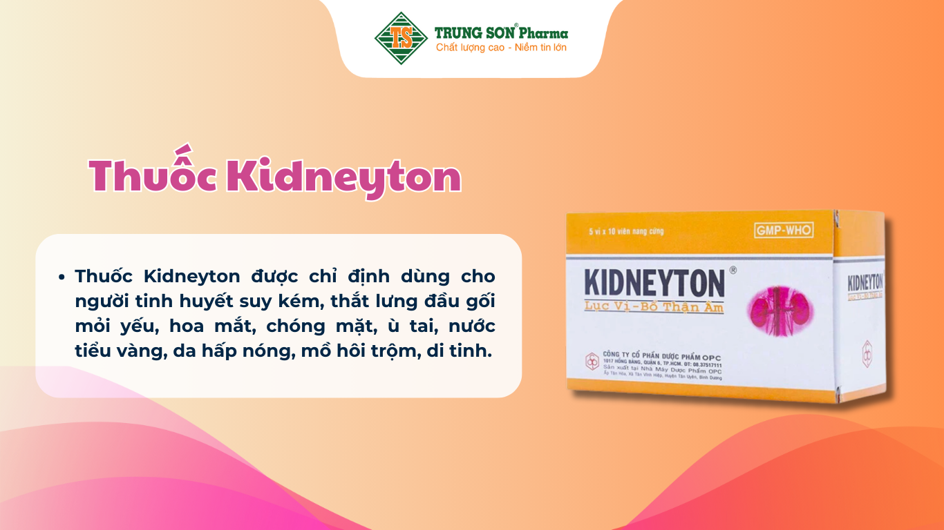 thuoc-kidneyton-dung-cho-nguoi-tinh-huyet-suy-kem-that-lung-au-goi-moi-yeu-hop-5-vi-x-10-vien