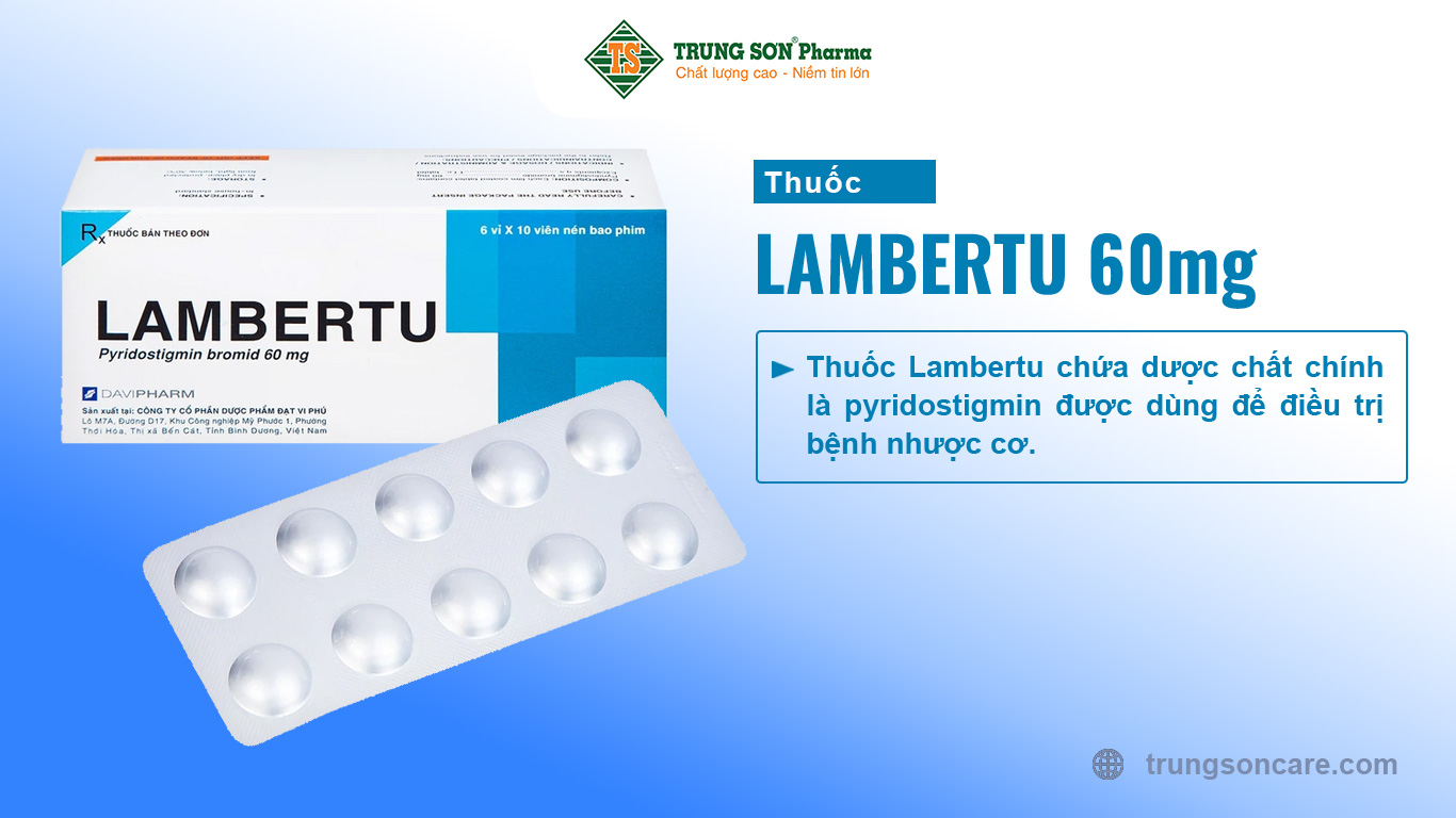 Thuốc Lambertu chứa dược chất chính là pyridostigmin được dùng để điều trị bệnh nhược cơ