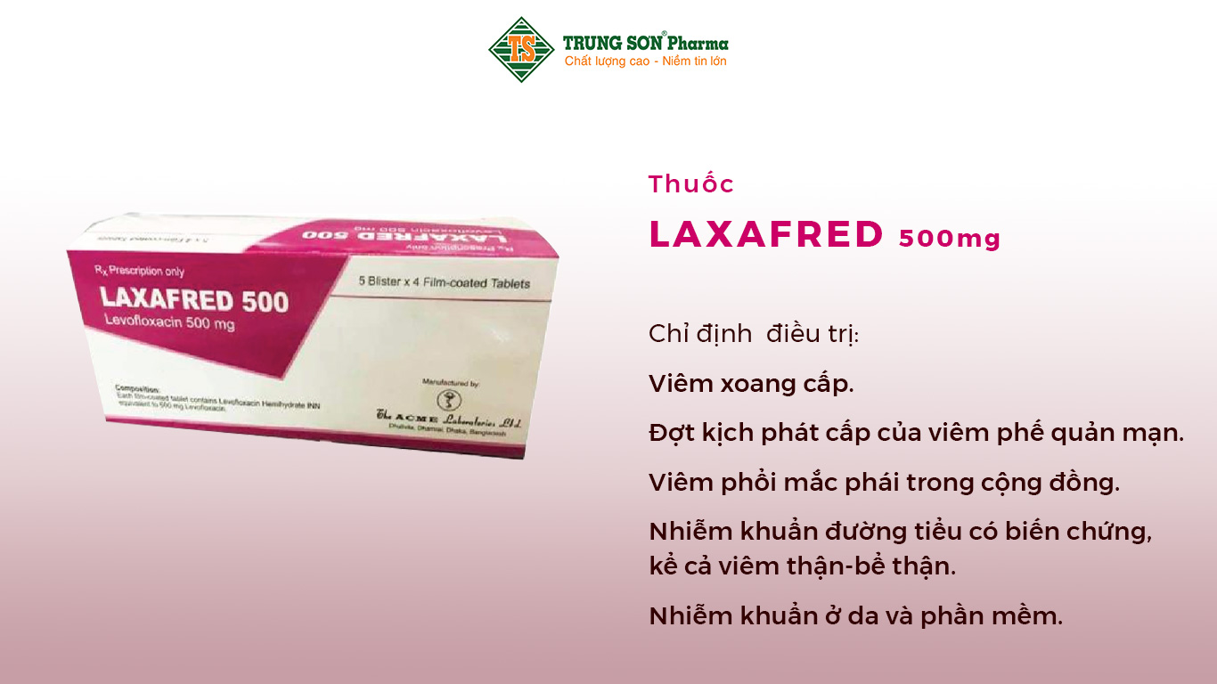 Thuốc Laxafred 500 được dùng để điều trị các trường hợp nhiễm khuẩn nhẹ, trung bình và nặng do các vi khuẩn nhạy cảm với Levofloxacin gây ra như sau: Viêm xoang cấp, viêm phổi, viêm phổi mắc phải trong cộng đồng, đợt cấp viêm phế quản mạn, nhiễm khuẩn ở da và phần mềm, nhiễm khuẩn đường tiết niệu có hoặc không biến chứng, viêm thận, viêm bể thận.