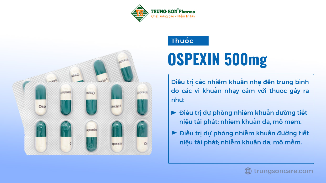 Ospexin 500 mg được sản xuất tại Công ty Cổ phần Dược phẩm Imexpharm, thành phần chính là cephalexin, là thuốc dùng trong điều trị các nhiễm khuẩn nhẹ đến trung bình do các vi khuẩn nhạy cảm với thuốc gây ra như: Nhiễm khuẩn đường hô hấp; nhiễm khuẩn tai, mũi, họng; viêm đường tiết niệu; điều trị dự phòng nhiễm khuẩn đường tiết niệu tái phát; nhiễm khuẩn da, mô mềm.