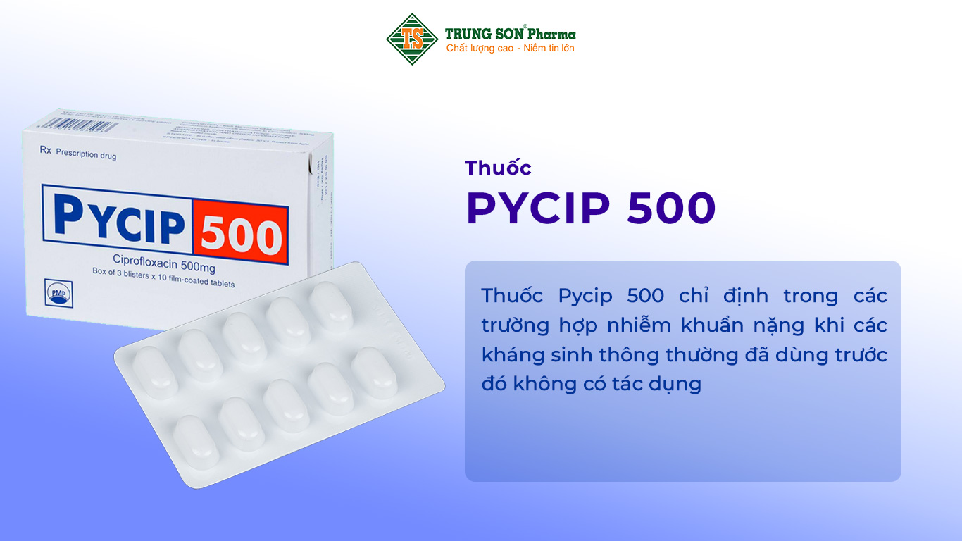 Thuốc Pycip 500 chỉ định trong các trường hợp nhiễm khuẩn nặng khi các kháng sinh thông thường đã dùng trước đó không có tác dụng