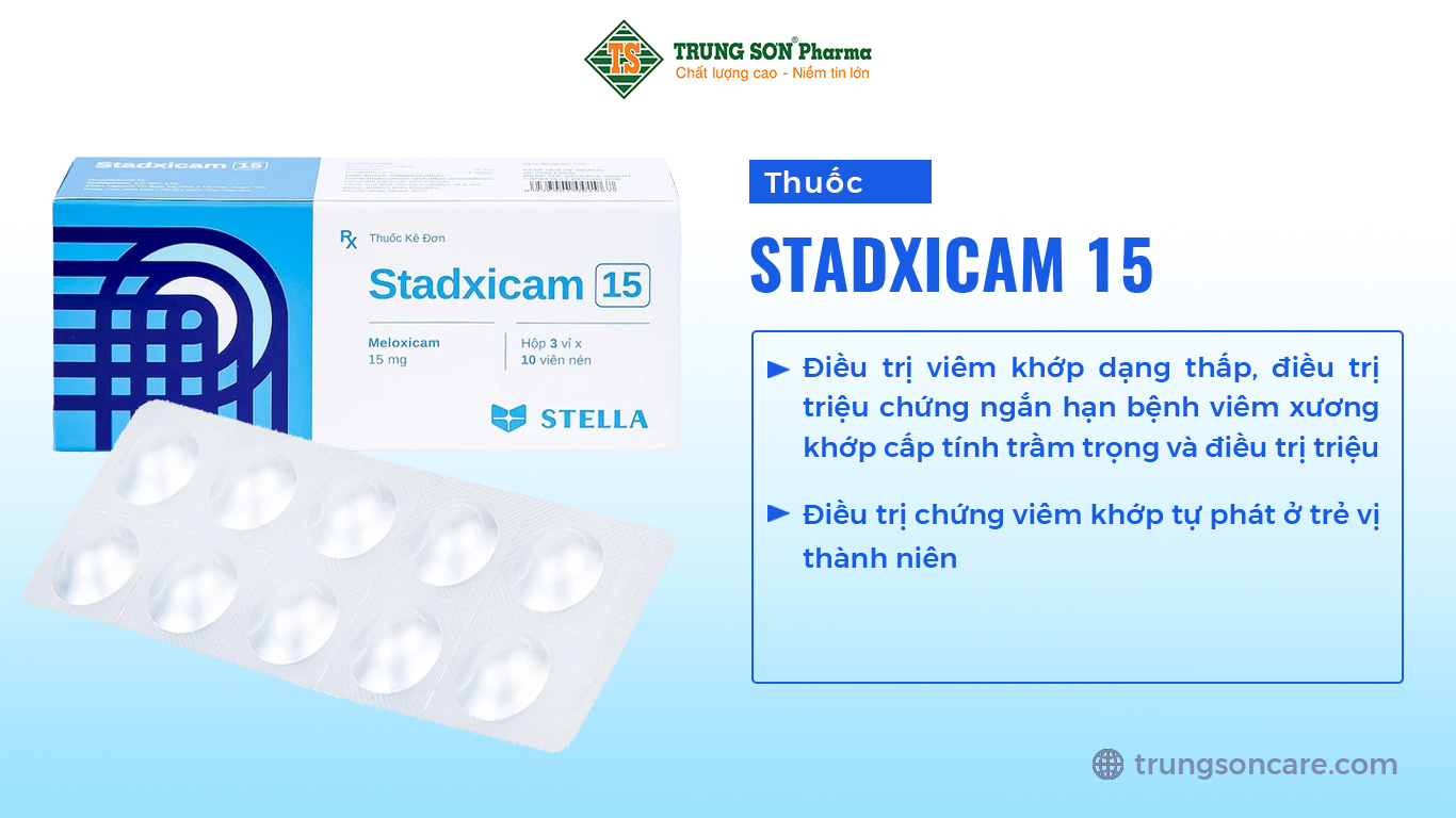 Thuốc Stadxicam 15 điều trị thoái hóa khớp, viêm khớp dạng thấp