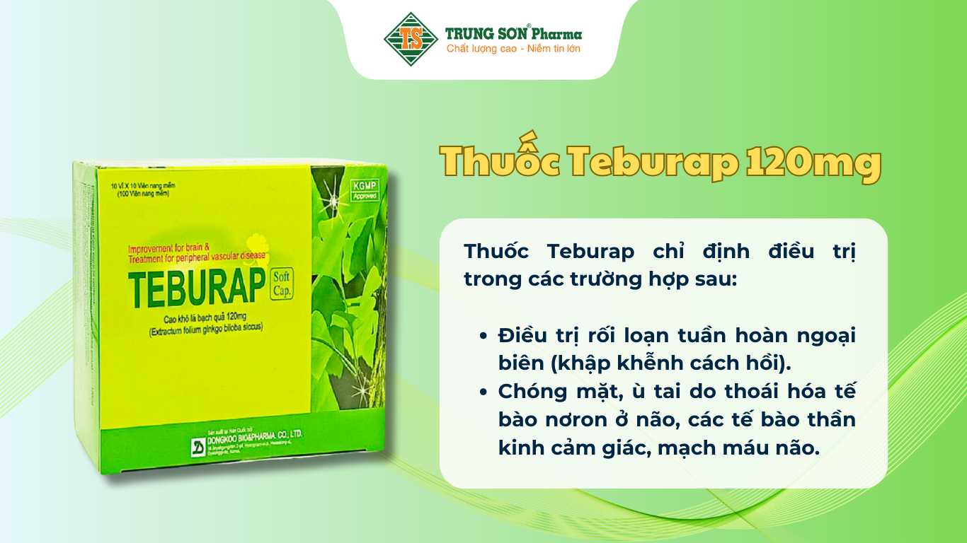 thuoc-teburap-120mg-ho-tro-dieu-tri-roi-loan-tuan-hoan-ngoai-bien-hop-100-vien