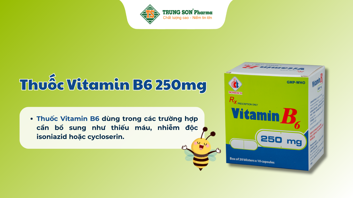 thuoc-vitamin-b6-250mg-domesco-dieu-tri-thieu-mau-20-vi-x-10-vien