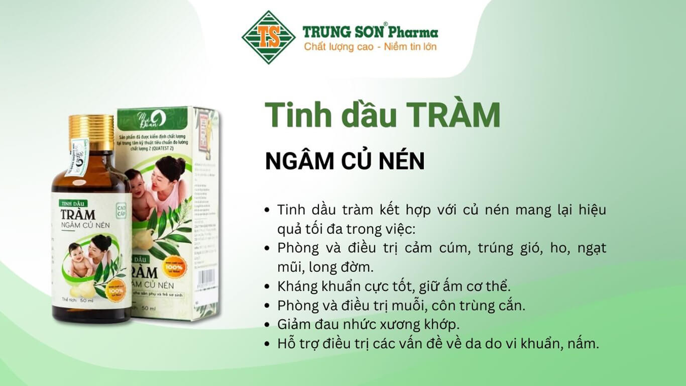 Tinh dầu tràm ngâm củ nén