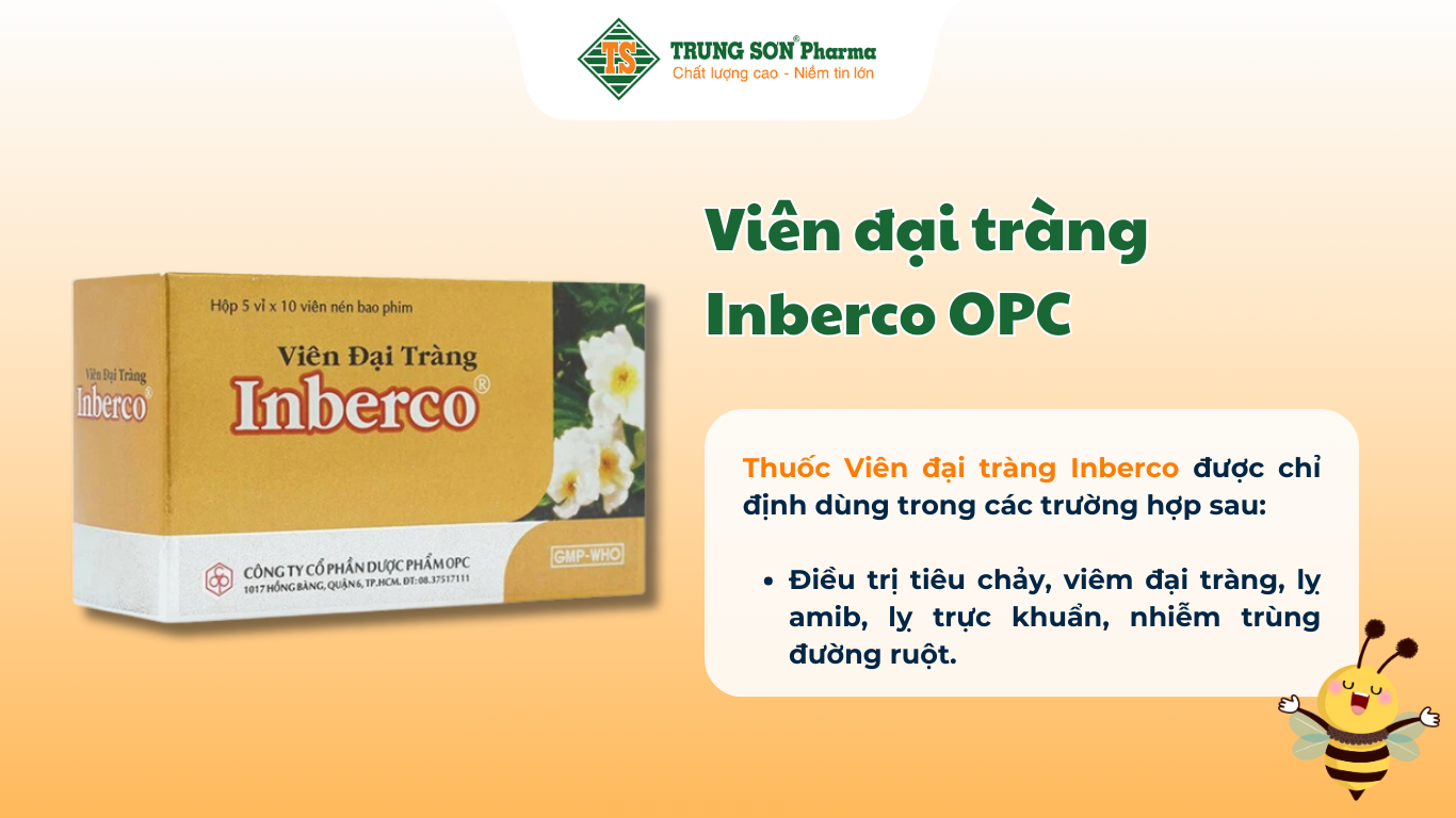 vien-dai-trang-inberco-opc-dieu-tri-tieu-chay-viem-dai-trang-ly-amib-ly-truc-khuan-5-vi-x-10-vien