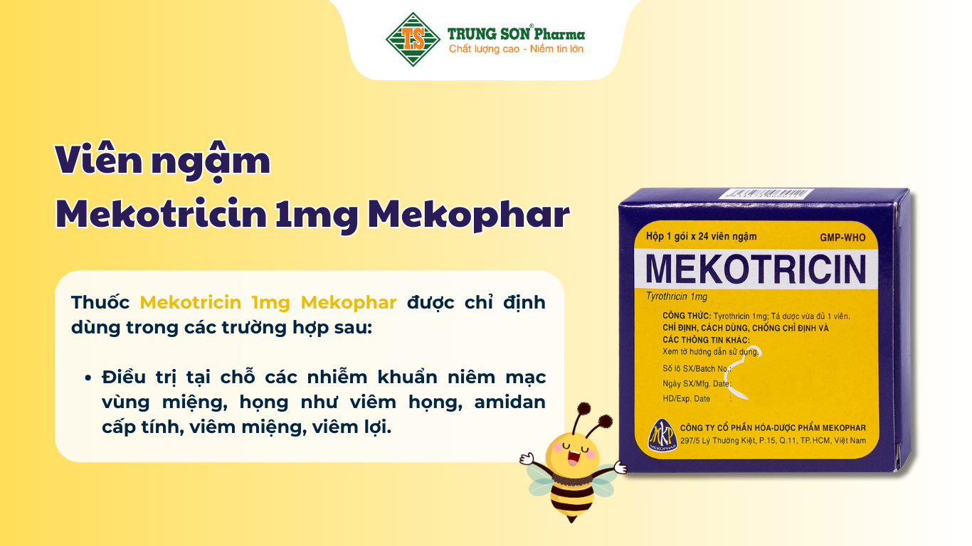 vien-ngam-mekotricin-1mg-mekophar-dieu-tri-viem-hong-amidan-cap-tinh-viem-mieng-viem-loi-24-vien