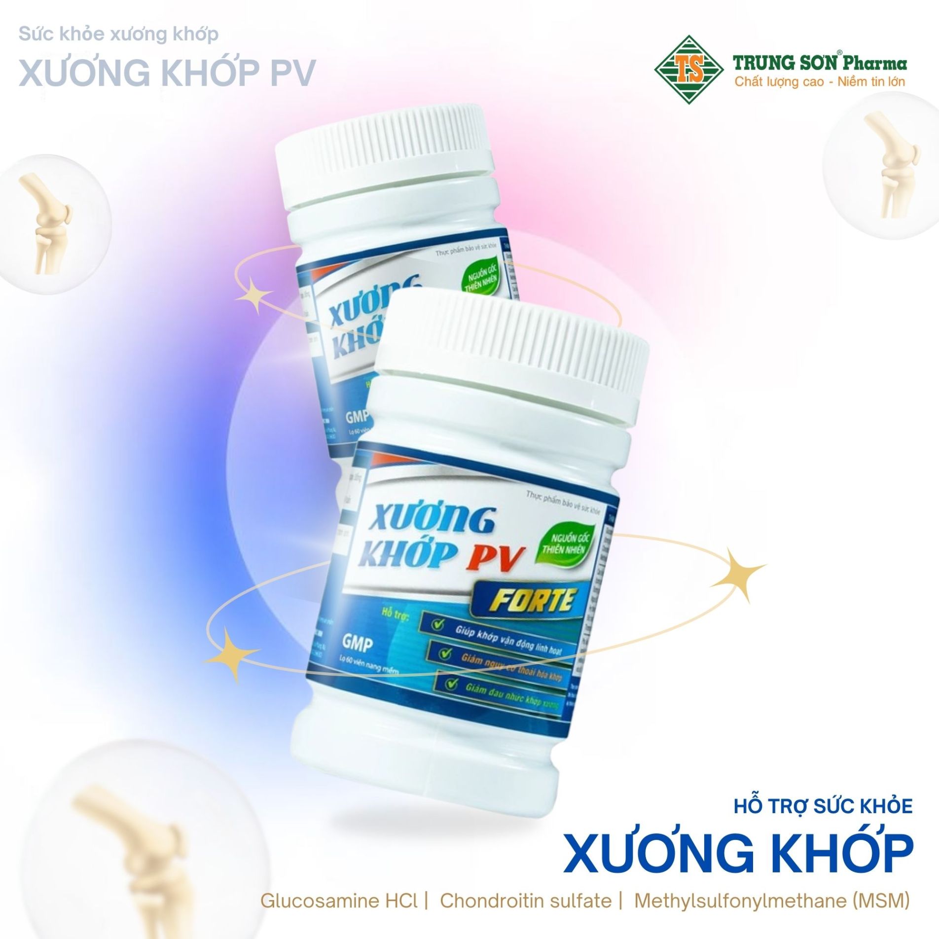 Thực phẩm bảo vệ sức khỏe Xương Khớp PV (60 viên) là sản phẩm hỗ trợ sức khỏe xương khớp, giúp bổ sung chất nhầy dịch khớp, tăng khả năng bôi trơn của dịch khớp, giúp khớp vận động linh hoạt và tái tạo sụn khớp.