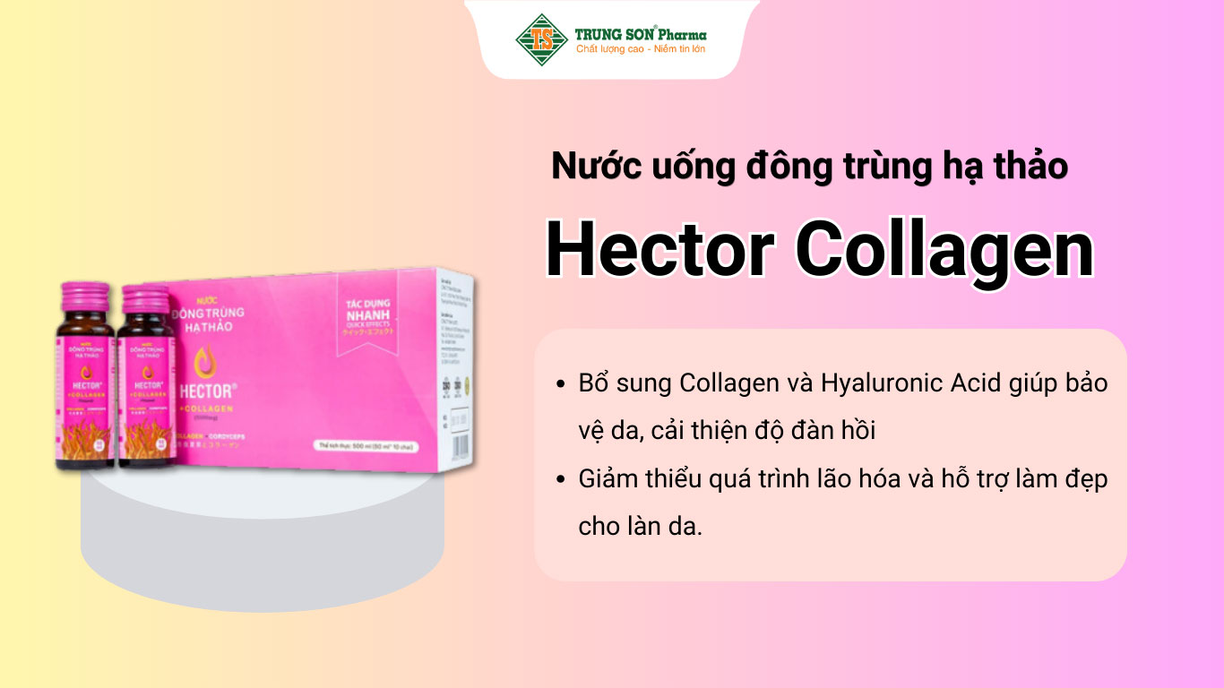 Nước đông trùng hạ thảo Hector Collagen 