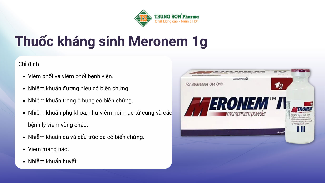 Thuốc kháng sinh Meronem 1g