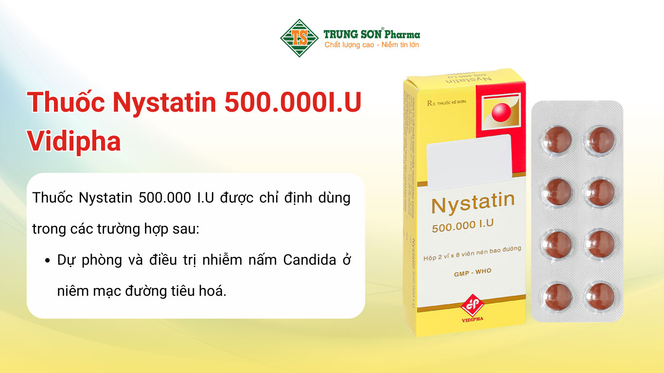  Thuốc Nystatin 500.000I.U Vidipha dự phòng và điều trị nhiễm nấm Candida