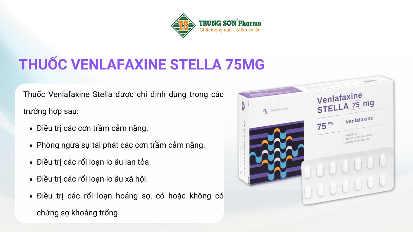 Thuốc Venlafaxine Stella 75mg điều trị các cơn trầm cảm nặng 