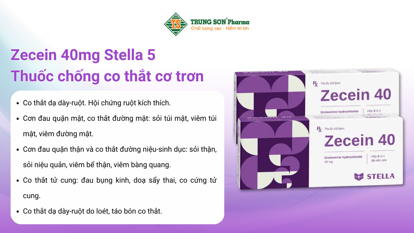 Zecein 40mg Stella 5 vỉ x 10 viên – Thuốc chống co thắt cơ trơn