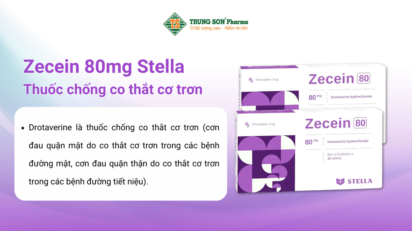 Zecein 80mg Stella – Thuốc chống co thắt cơ trơn