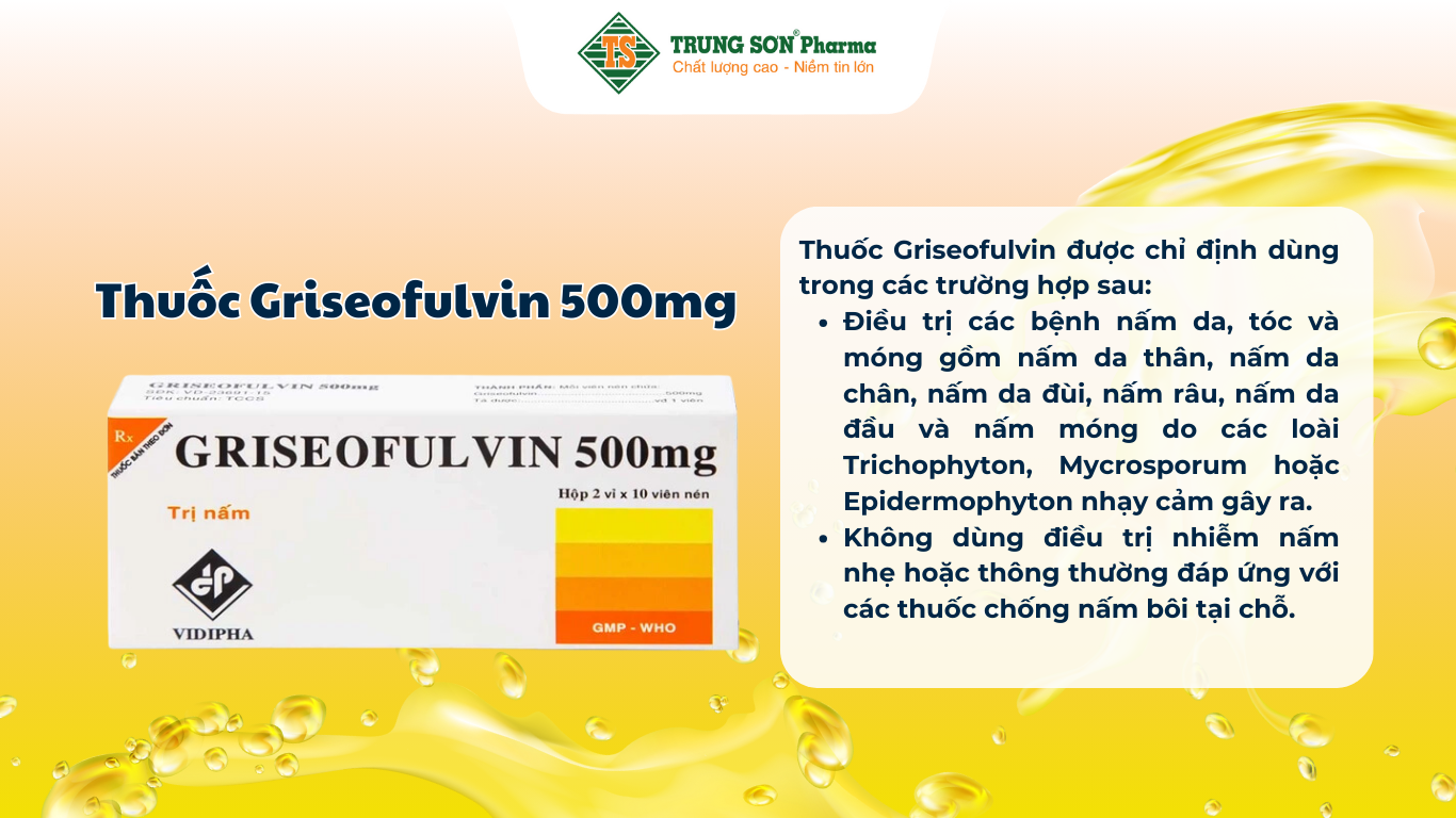 thuoc-griseofulvin-500mg-vidipha-dieu-tri-cac-benh-nam-da-toc-long-mong-tay-mong-chan-2-vi-x-10-vien