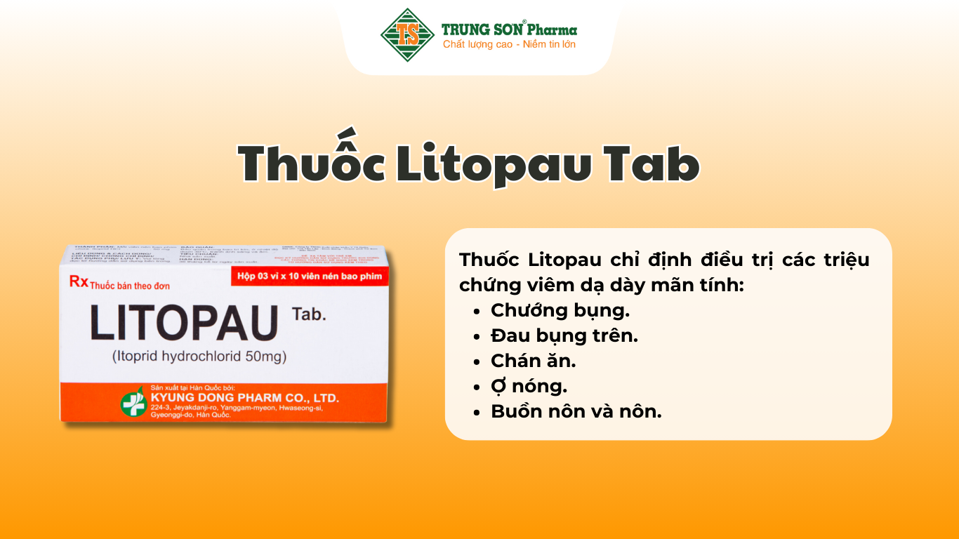 thuoc-litopau-tab-dieu-tri-cac-trieu-chung-viem-da-day-man-tinh-3-vi-x-10-vien