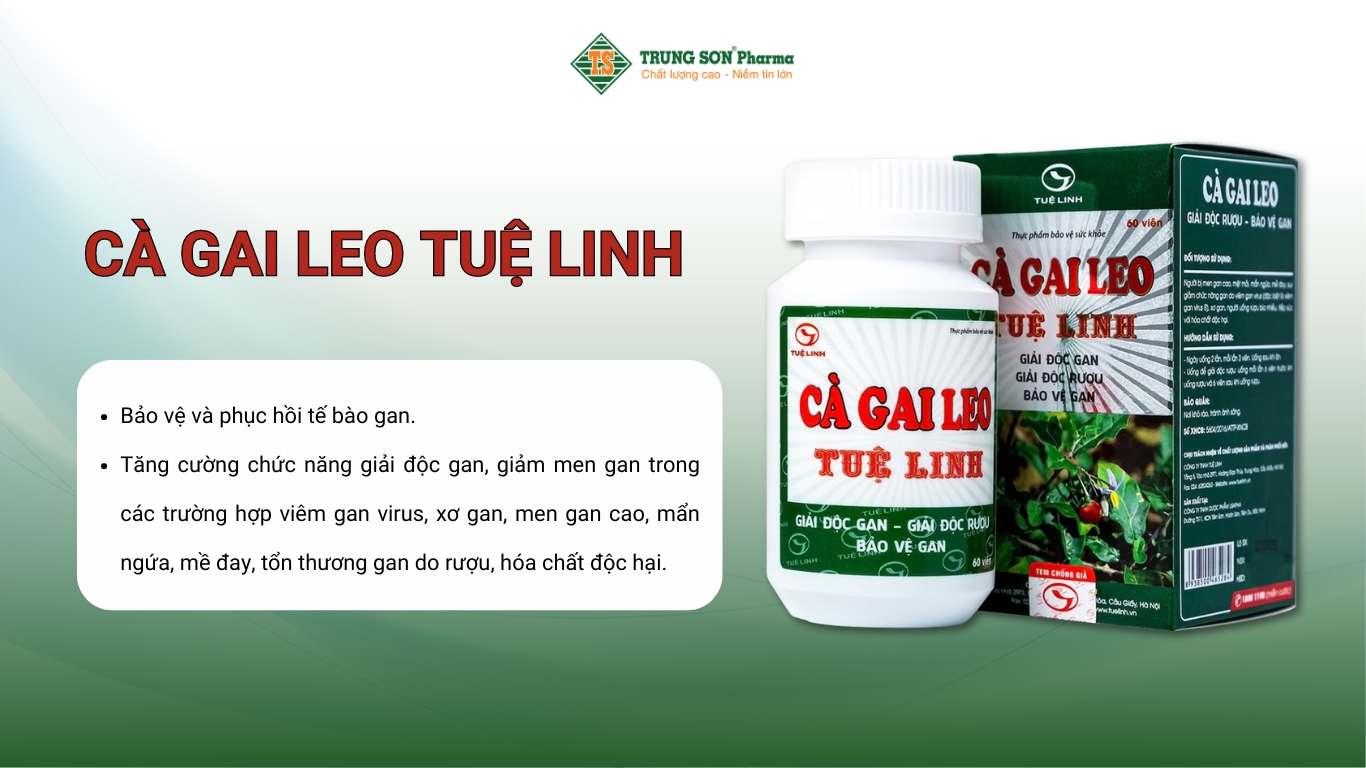 Viên uống Cà Gai Leo Tuệ Linh bảo vệ và phục hồi tế bào gan, giải độc gan