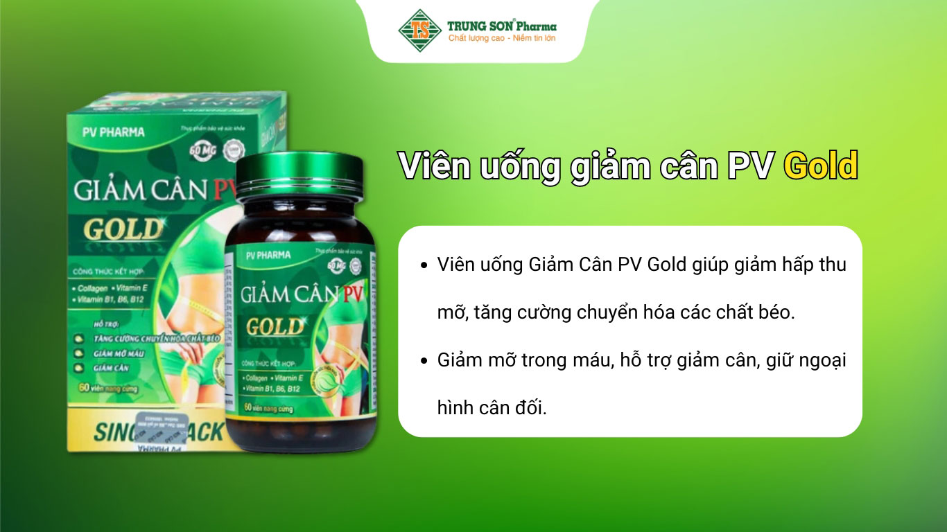 Viên uống giảm cân PV Gold Phúc Vinh hỗ trợ tăng cường chuyển hóa chất béo, giảm mỡ máu 
