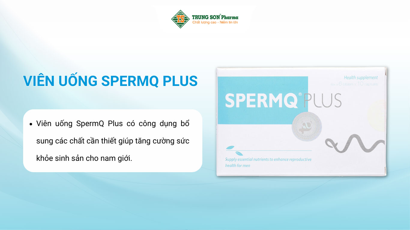 Viên uống SpermQ Plus bổ sung dưỡng chất, tăng cường sức khỏe sinh sản nam giới
